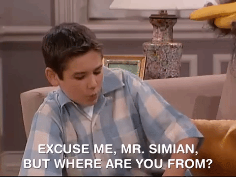 the amanda show nicksplat GIF
