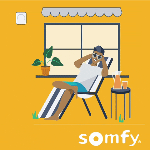 Summer Sun GIF by Somfy