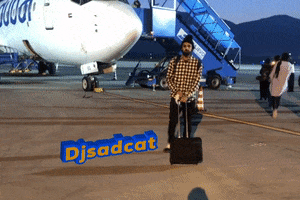 djsadcat travel airport airplain djsadcat GIF