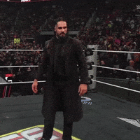 Seth Rollins GIF