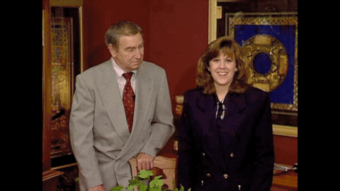 CACUM311 giphyupload GIF