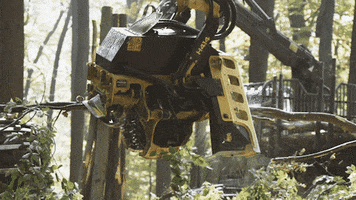 VEOCELbyLenzing tree cutting wood sustainable forestry GIF