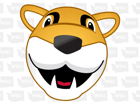 Washington State Go Cougs GIF by WSU Pullman