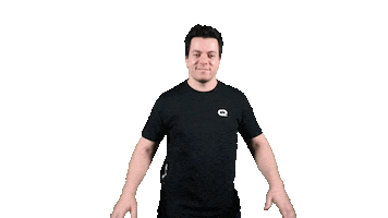 Wait What Cosa Sticker by QLASH
