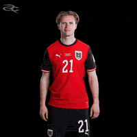 Fifa World Cup Austria GIF by Respective