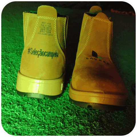 Agronegocio GIF by Lavoro Agro