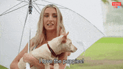 Dog Reaction GIF by Married At First Sight