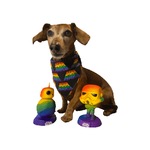 Star Wars Dog Sticker by Geekster Pets