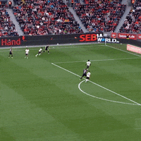 1 Fc Cologne Football GIF by 1. FC Köln