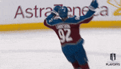 Happy National Hockey League GIF by NHL