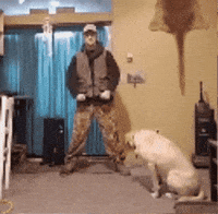 Dance Dancing GIF