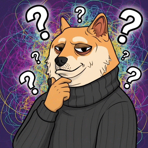 Shiba Inu What GIF by Doge Pound