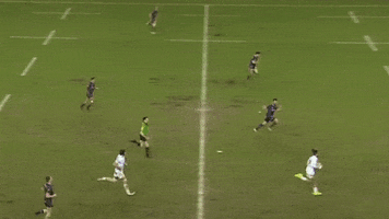 fabrice estebanez stop GIF by FCG Rugby