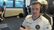 Esports Gamer GIF by BLAST