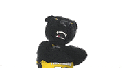 College Panthers Sticker by ODU Admission
