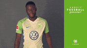 riechedly bazoer thumbs up GIF by VfL Wolfsburg