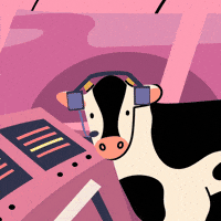 Seguros Disfrutar GIF by Instituto de Nutrición y Salud Kellogg's