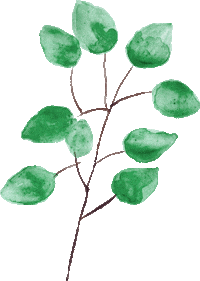 kantorrebi flower plants virag noveny Sticker