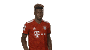 happy france Sticker by Bundesliga