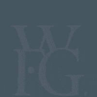 World Financial Group GIF by WFG