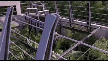 GIF by Giffffr