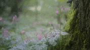 rain raining GIF by Living Stills