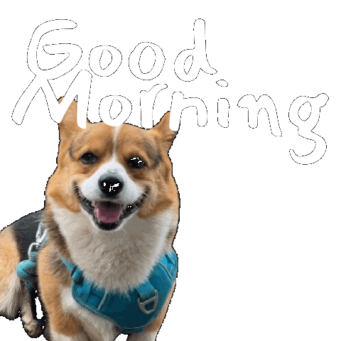 Corgi Milo Sticker