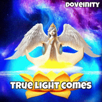 Flower Peace GIF by thedoveinity