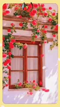 Amigos Vamos GIF by Murcianys LLC