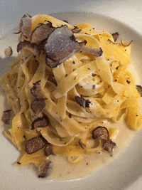 GIF by Mamarosa Beach