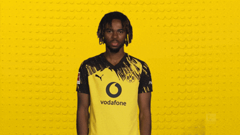 Borussia Dortmund Chukwuemeka GIF by Bundesliga