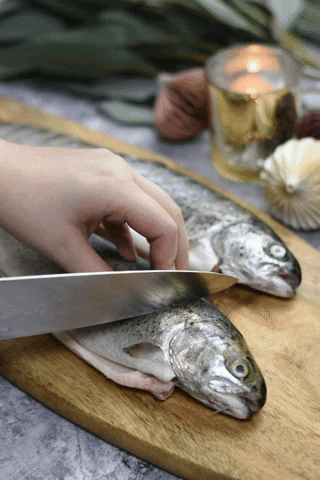 roskapetra giphygifmaker fish cutting trout GIF