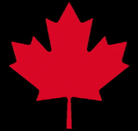 Maple Leaf Canada GIF by Tim Hortons UK & IE