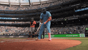 Blue Jays Baseball GIF by Toronto Blue Jays