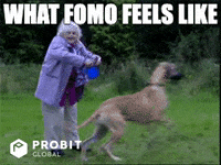 Dog Crypto GIF by ProBit Global