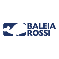 depbaleiarossi mdb reforma tributaria baleia rossi baleiarossi Sticker