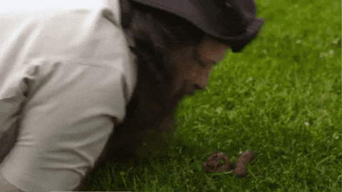 Awesome GIF by StittsvilleOnPatrol