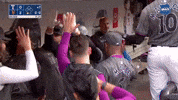Celebrate New York Mets GIF by MLB