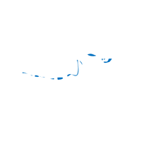 Mastai Winterthur GIF by Mastai Comestibles