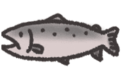Fish Salmon Sticker
