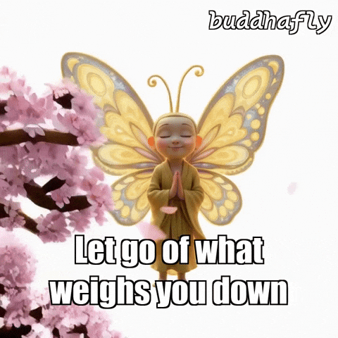 Cherry Blossom Peace GIF by BuddhaFlyJourney