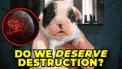 Pibble GIF