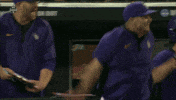 Lsu Tigers Baseball GIF by NCAA Championships