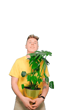 Summer Plants Sticker by Follovers