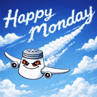 Monday Flying GIF by SALT