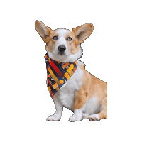 Pilot Ellie Sticker by Geekster Pets