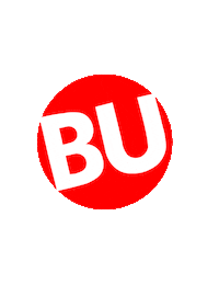 Bu Bostonu Sticker by Boston University