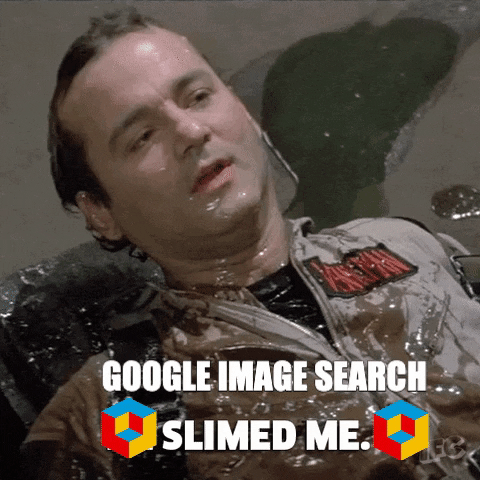 cogdogblog giphygifmaker giphyattribution google slimed GIF
