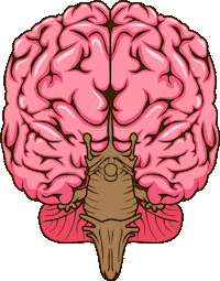 Brain Ae Sticker by Moreira Merlo