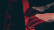 polyvinylrecords piano keyboard live music synth GIF
